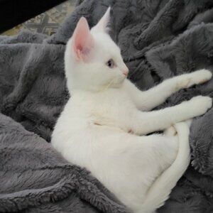 Please make her an offer so she pays more attention to me!!!